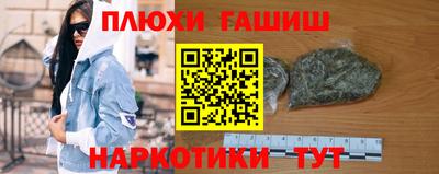 индика Усть-Джегута
