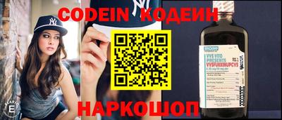 индика Усть-Джегута
